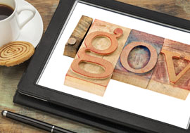 Govermemnt Picture Frame Graphic