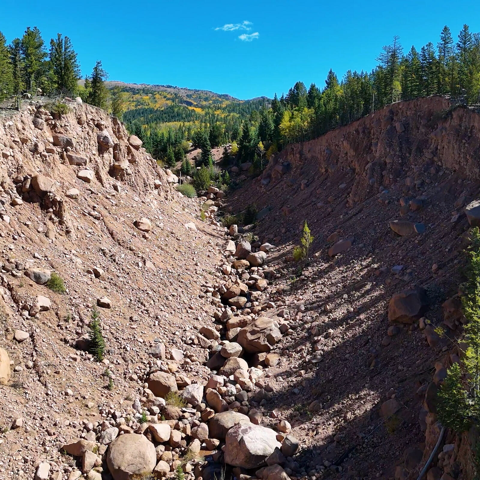 Rocky hillside and pines in the Pikes Peak region