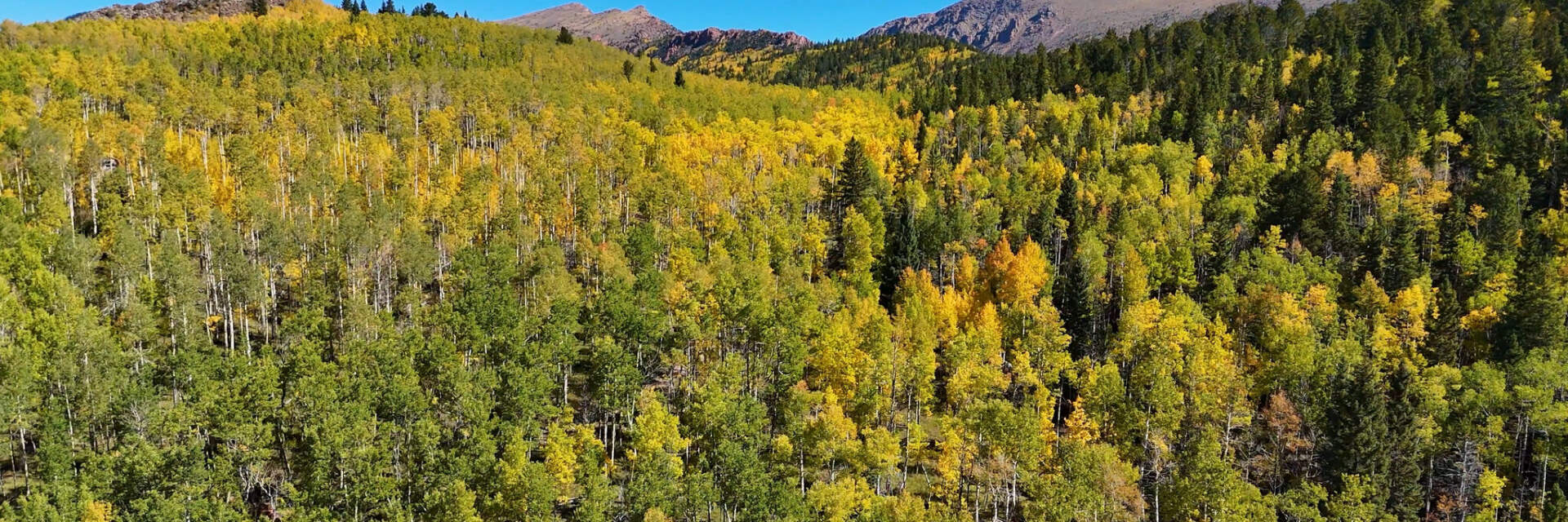 Aspen-covered hills and peaks in the Pikes Peak region in autumn