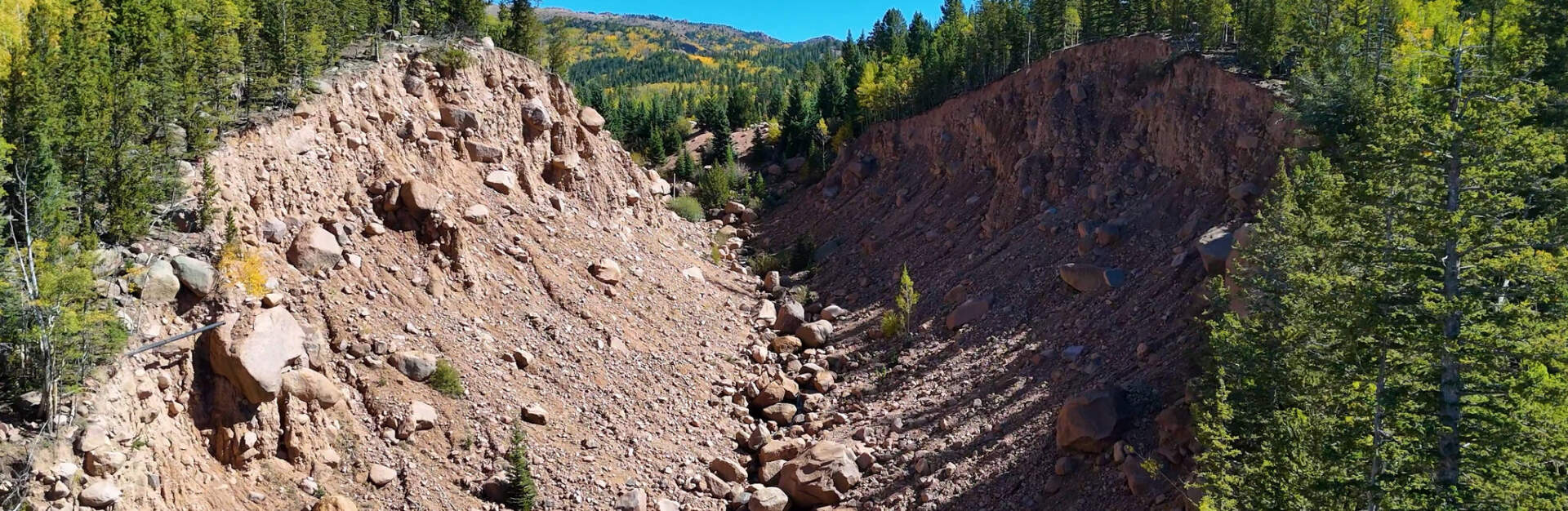 Rocky hillside and pines in the Pikes Peak region